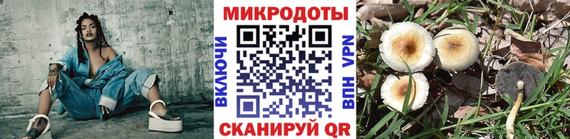 площадка состав  Лысьва  Псилоцибиновые грибы Psilocybine cubensis  blacksprut зеркало 
